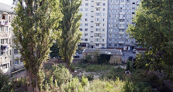 Ул. Насрутдинова, 57. Минприроды разрешило вырубить эти деревья Ул. Насрутдинова, 57. Минприроды разрешило вырубить эти деревья