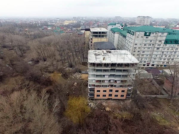 Вырубки трёх гектаров леса не было Вырубки трёх гектаров леса не было