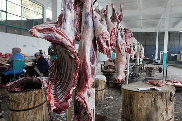 «Мясо своё – это спасает...» «Мясо своё – это спасает...»