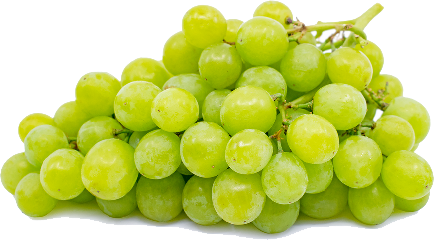 Будай Шули Будай Шули