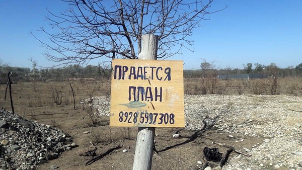 И распродают... И распродают...