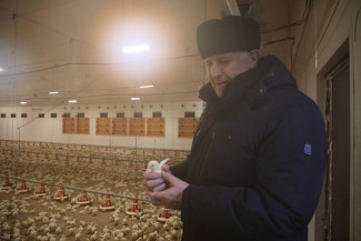 премьер с птичками